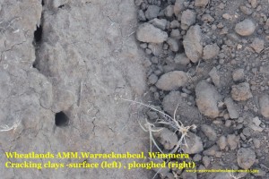 soil warracknabeal track