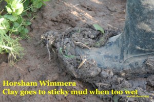soil challenge mud