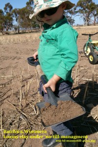 soil management notill