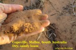 sa-kp-copeville-soilcomp