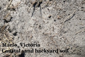 vic-lp-marlo-soil-blackcomp