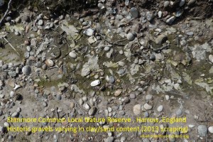Stanmore Gravels at Stanmore Common Harrow London UK
