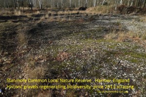 Stanmore Gravels at Stanmore Common Harrow London UK