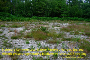 Stanmore Gravels at Stanmore Common Harrow London UK